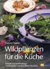 Wildpflanzen für die Küche: Botanik, Sammeltipps und Rezepte