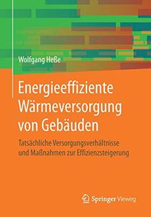 Energieeffiziente Wärmeversorgung von Gebäuden: Tatsächliche Versorgungsverhältnisse und Maßnahmen zur Effizienzsteigerung