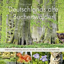 Deutschlands alte Buchenwälder: UNESCO-Weltnaturerbe Jasmund, Serrahn, Grumsin, Hainich und Kellerwald