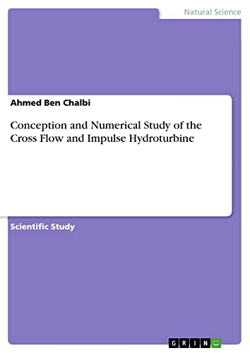 Conception and Numerical Study of the Cross Flow and Impulse Hydroturbine