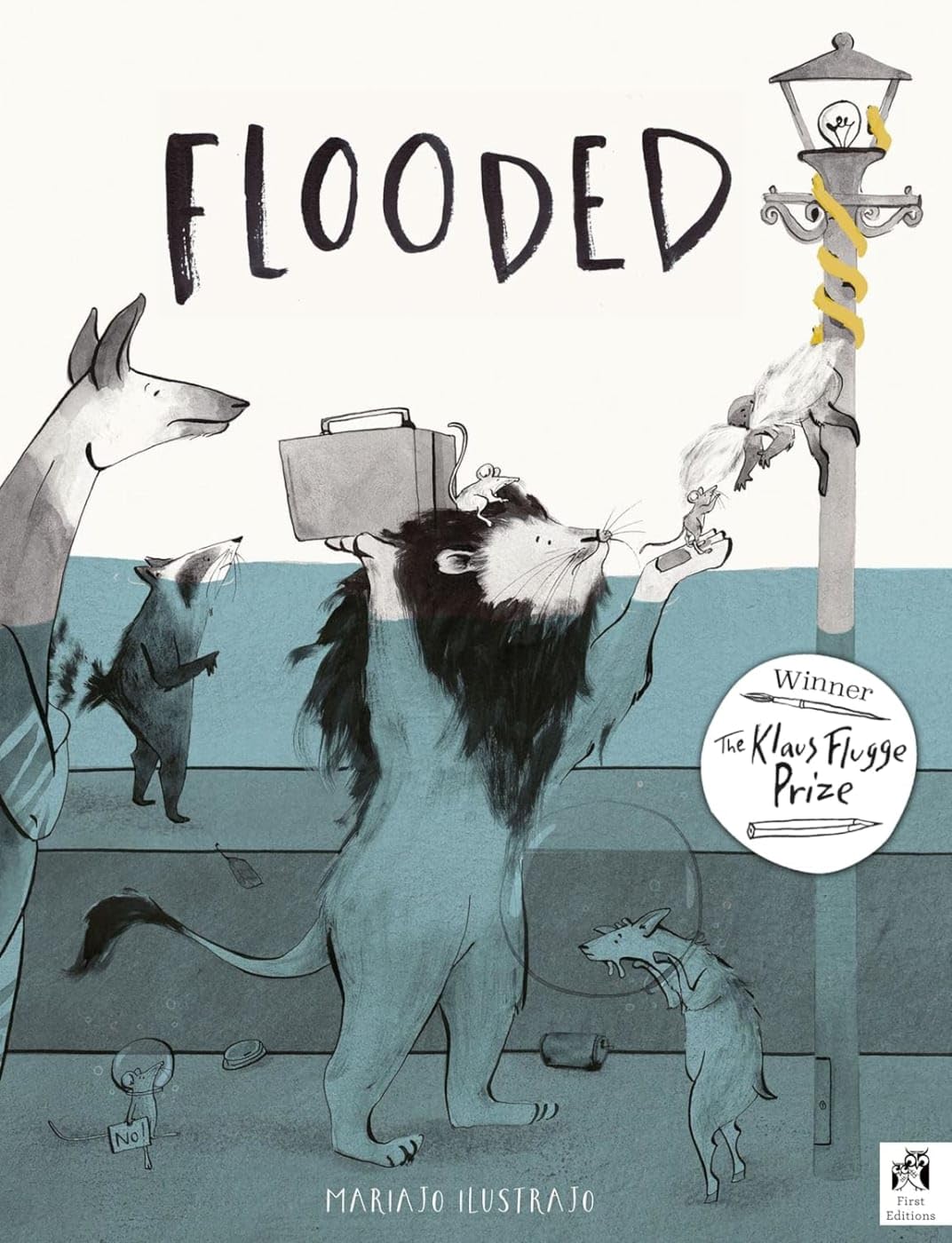 Flooded: Bilderbuch