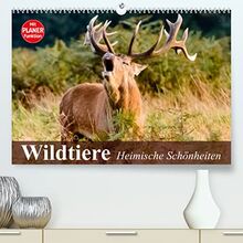 Wildtiere. Heimische Schönheiten (Premium, hochwertiger DIN A2 Wandkalender 2023, Kunstdruck in Hochglanz)