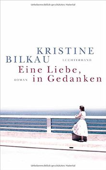 Eine Liebe, in Gedanken: Roman