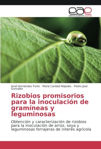 Rizobios promisorios para la inoculación de gramíneas y leguminosas: Obtención y caracterización de rizobios para la inoculación de arroz, soya y leguminosas forrajeras de interés agrícola