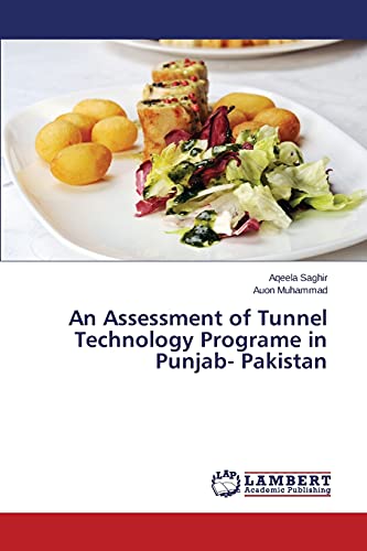 An Assessment of Tunnel Technology Programe in Punjab- Pakistan