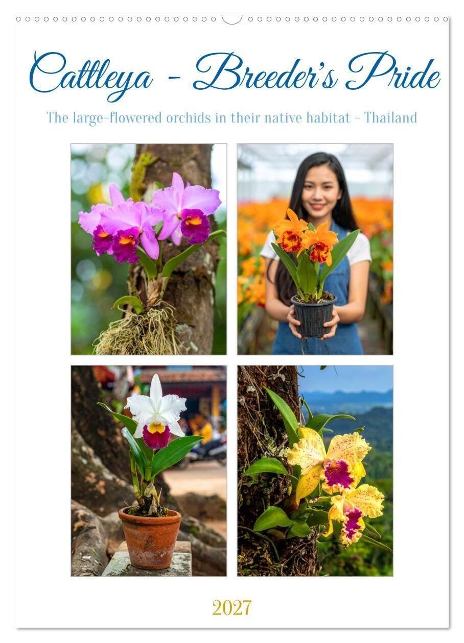 Cattleya - Breeder's Pride (Wall Calendar 2027 DIN A2 portrait), CALVENDO 12 Month Wall Calendar