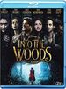 Into The Woods [Blu-ray] [IT Import]