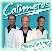 Die großen Erfolge - 20 Hits