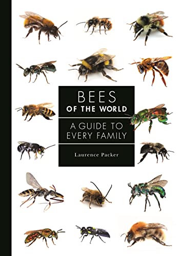 Bees of the World: A Guide to Every Family (Guide to Every Family, 5)