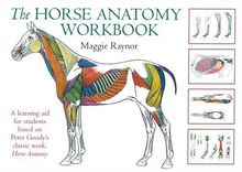 The Horse Anatomy Workbook: A Learning Aid for Students Based on Peter Goody's Classic Work, Horse Anatomy (Allen Student)