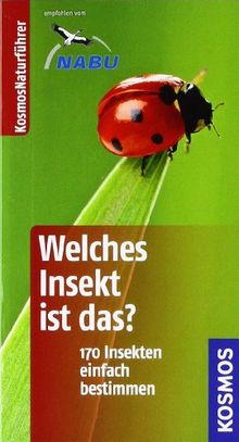 Welches Insekt ist das?: 170 Insekten einfach bestimmen