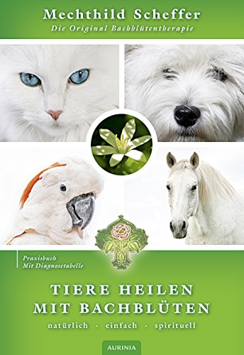 Tiere heilen mit Bachblüten - Praxisbuch - Mechthild Scheffer Kartoniert (TB)