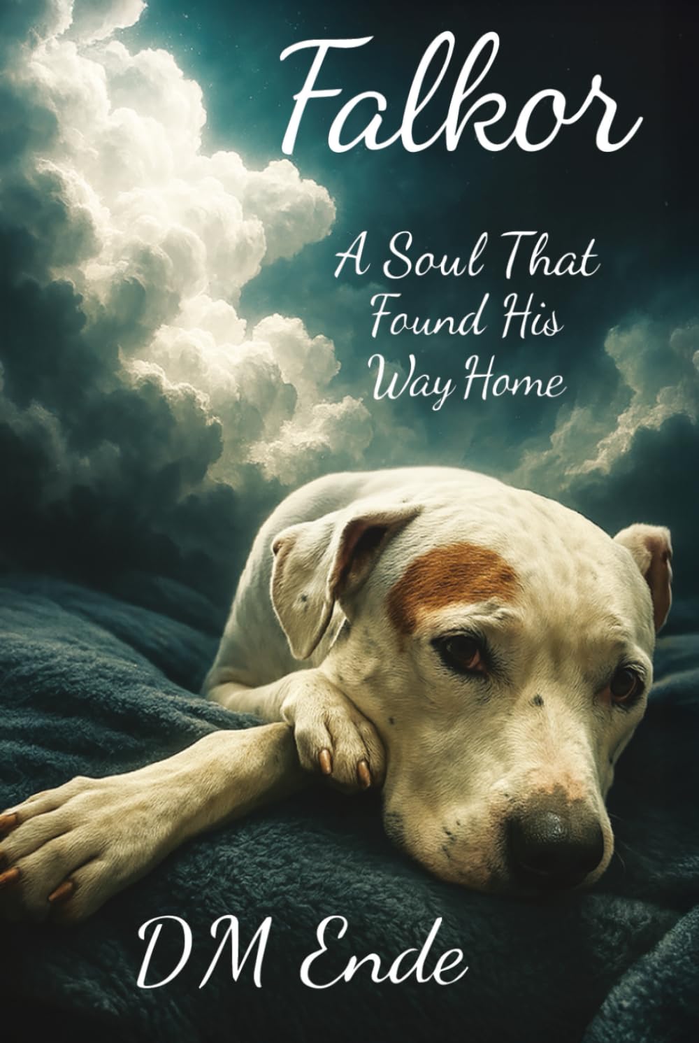 Falkor A Soul That Found His Way Home