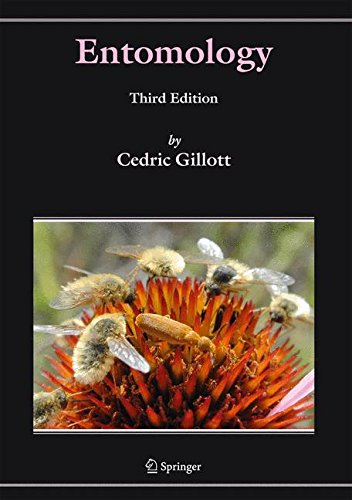Entomology - Cedric Gillott Kartoniert (TB)