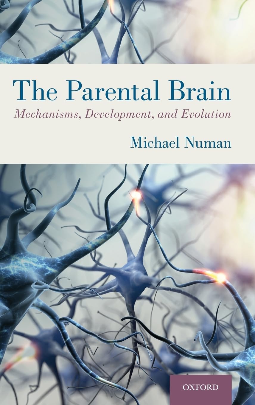 Michael Numan Parental Brain, Mechanisms, Development, And Evolution