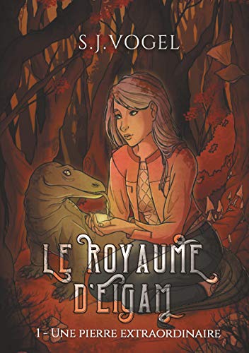 Le Royaume D'eigam: Une Pierre Extraordinaire (le Royaume D'eigam (1))