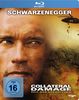 Collateral Damage - Steelbook [Blu-ray] [Limited Edition]
