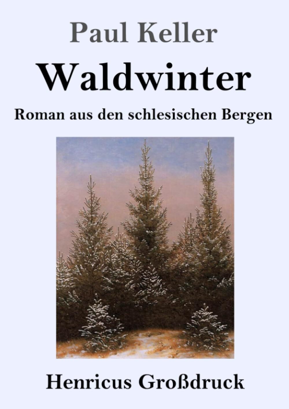 Waldwinter (Großdruck)