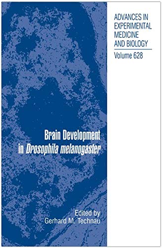 Brain Development in Drosophila melanogaster (Advances in Experimental Medicine and Biology, 628, Band 628)