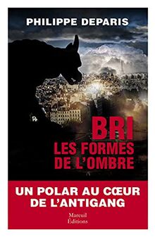 BRI, les formes de l'ombre : polar