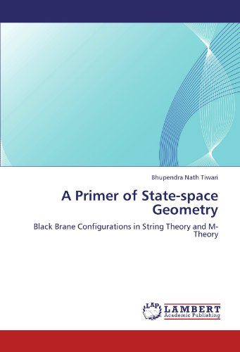 A Primer of State-space Geometry: Black Brane Configurations in String Theory and M-Theory