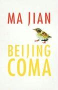 Beijing Coma