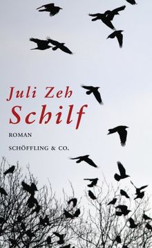 Schilf