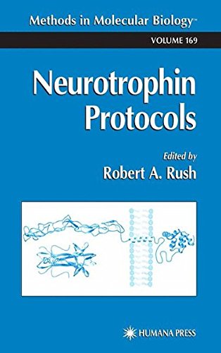 Neurotrophin Protocols (Methods in Molecular Biology)