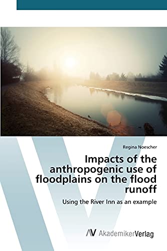 Impacts of the anthropogenic use of floodplains on the flood runoff: Using the River Inn as an example