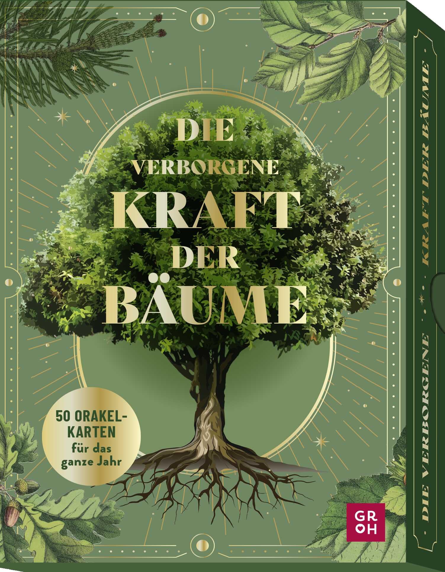 Orakelkarten: Die verborgene Kraft der Bäume: 50 Orakelkarten für das ganze Jahr | Nutze die Botschaften und Weisheiten der Natur. Spirituelles Kartenset in goldveredelter Box