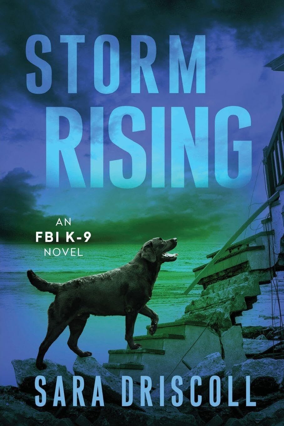 Storm Rising