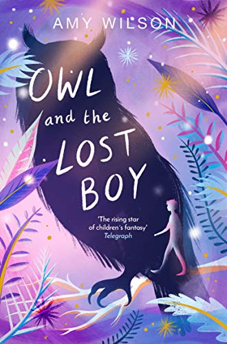 Amy Wilson Owl And The Lost Boy