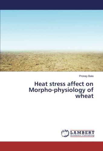 Heat stress affect on Morpho-physiology of wheat
