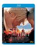 7 ans au tibet [Blu-ray] 