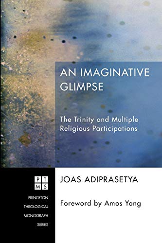 An Imaginative Glimpse: The Trinity and Multiple Religious Participations (Princeton Theological Monograph)