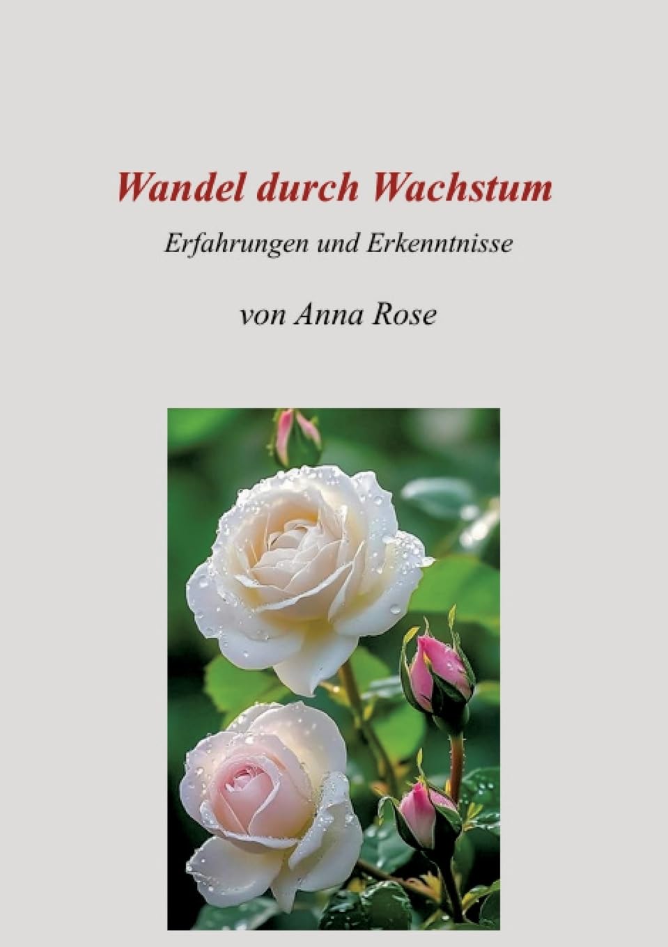 Wandel durch Wachstum: Erfahrungen und Erkenntnisse