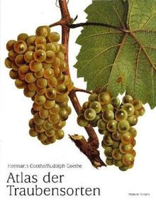 Atlas der Traubensorten