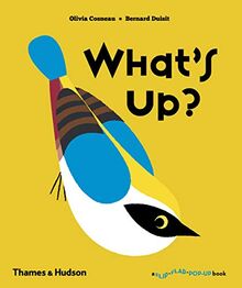 Cosneau, O: What's Up? (A Flip Flap Pop-Up Book)