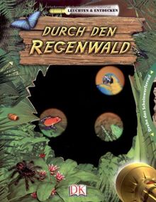 Leuchten & Entdecken: Durch den Regenwald