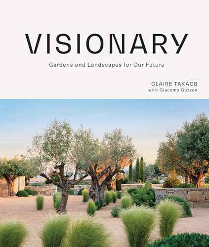 Visionary - Claire Takacs Giacomo Guzzon Gebunden