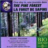 The Pine Forest