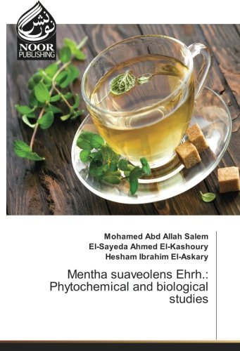 Mentha suaveolens Ehrh.: Phytochemical and biological studies