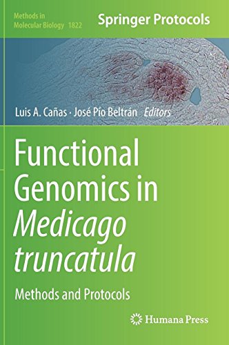 Functional Genomics in Medicago truncatula: Methods and Protocols (Methods in Molecular Biology, Band 1822)