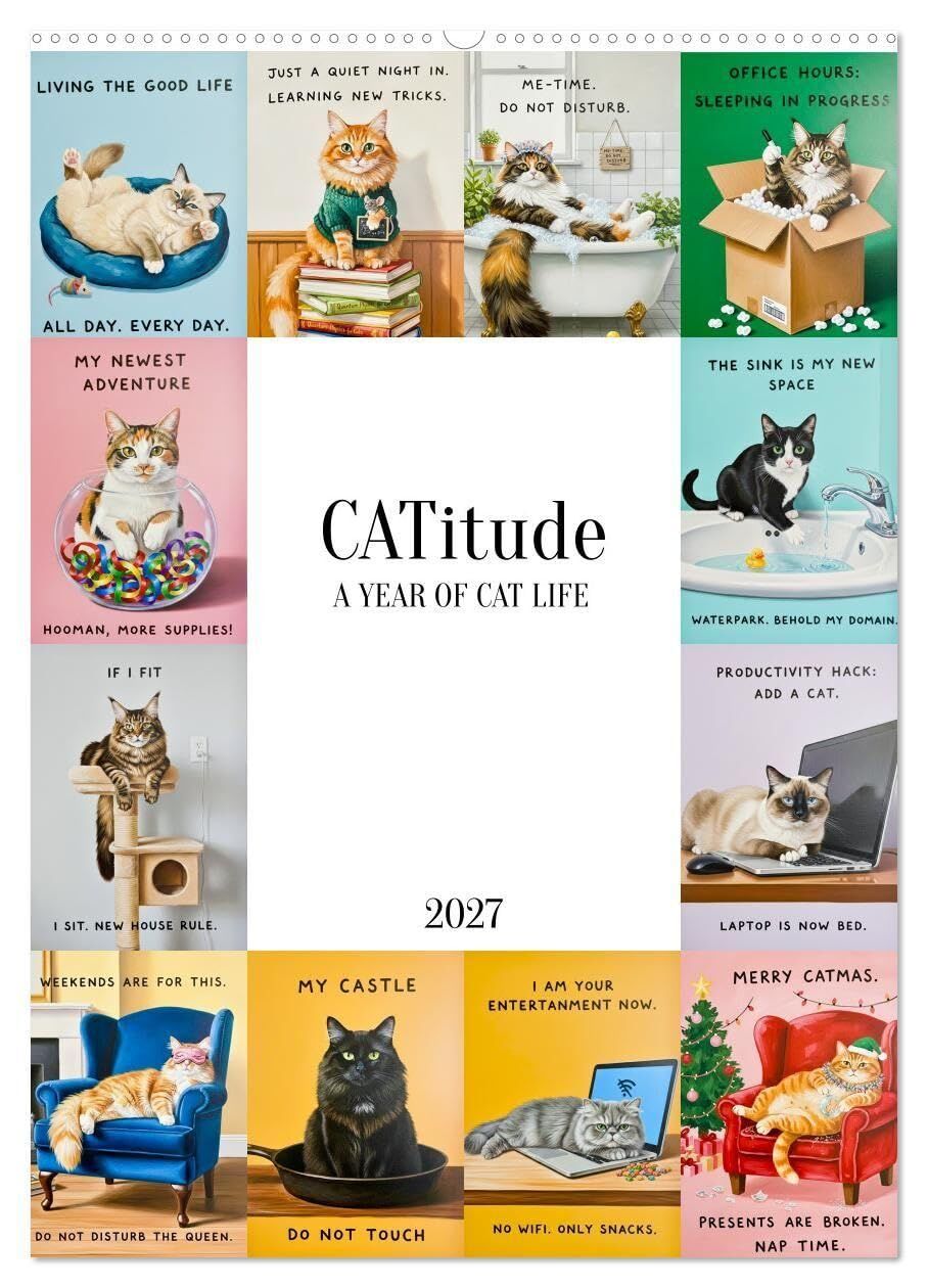CATitude A YEAR OF CAT LIFE (Wall Calendar 2027 DIN A2 portrait), CALVENDO 12 Month Wall Calendar