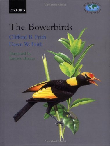 The Bowerbirds: Ptilonorhynchidae (Bird Families of the World)