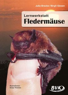 Lernwerkstatt Fledermäuse 3.-4. Klasse: A4-Kopiervorlagen. 3.-4. Klasse