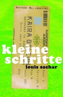 Kleine Schritte: Taschenbuch