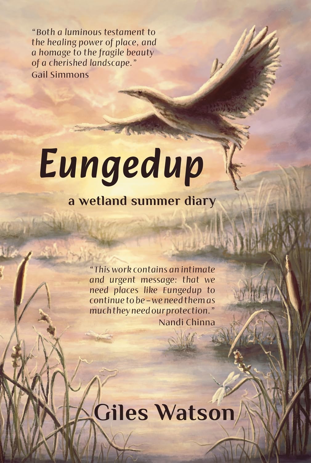 Eungedup: A Wetland Summer Diary