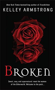 Broken (Women of the Otherworld, Band 6)