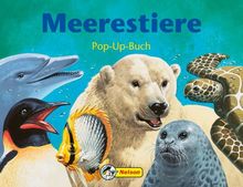 Meerestiere.  Ein Pop-up-Bilderbuch